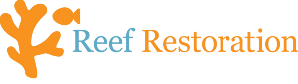 Four Seasons Reef Action – Petite Anse, Seychelles