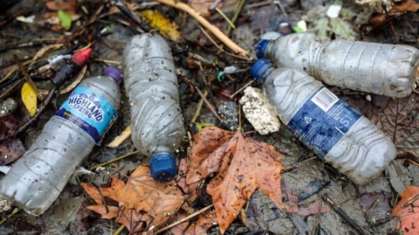 River Thames ‘severely polluted with plastic’
