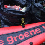 Profile picture of markm