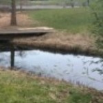 Profile picture of Puck