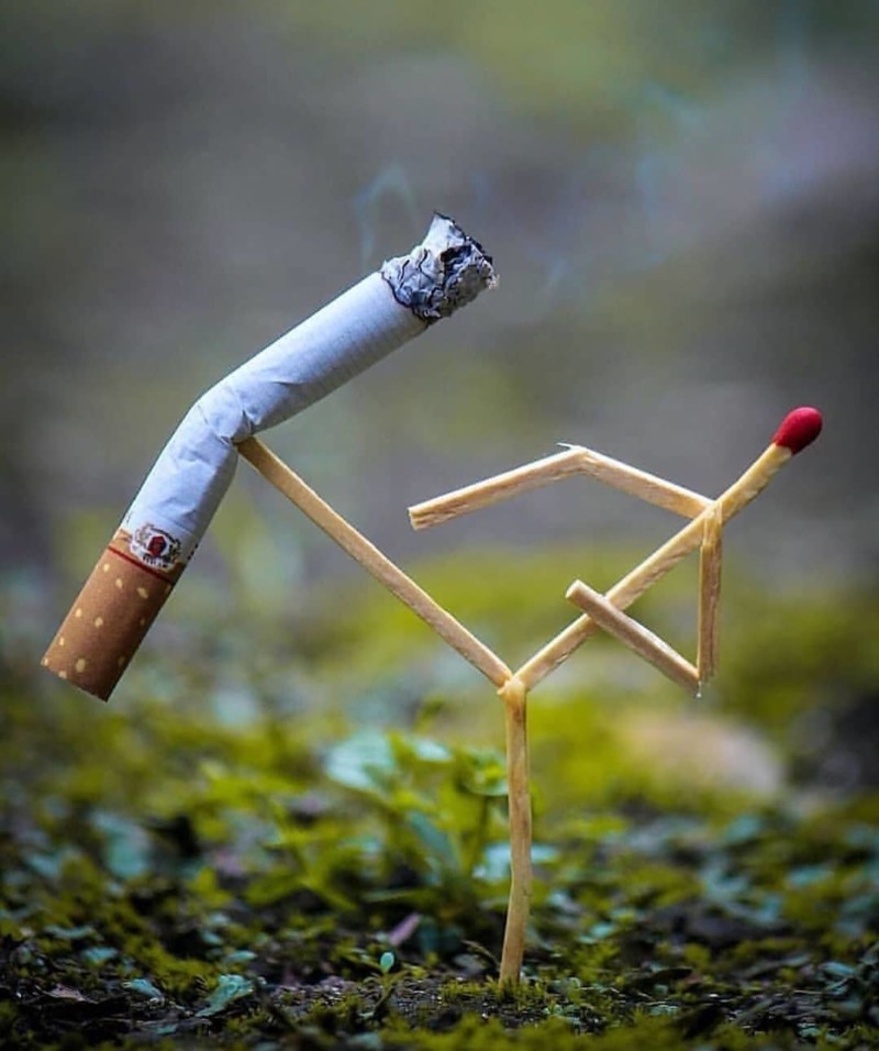 66821363_767636743669755_8257529588186560721_n1